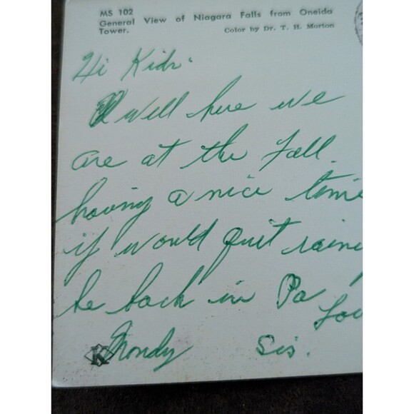 General View Niagara Falls Oneida Tower Hi Kids 1976 Ohio 9c Stamp Postcard - Picture 6 of 9